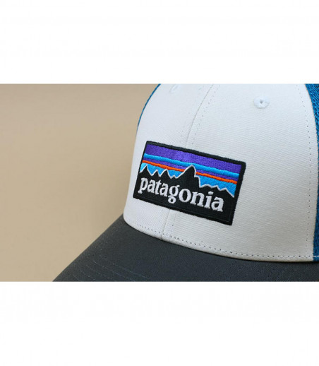 grey white Patagonia trucker